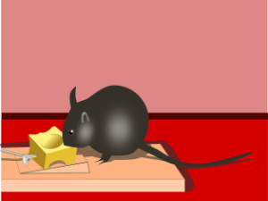 Tricking the mice